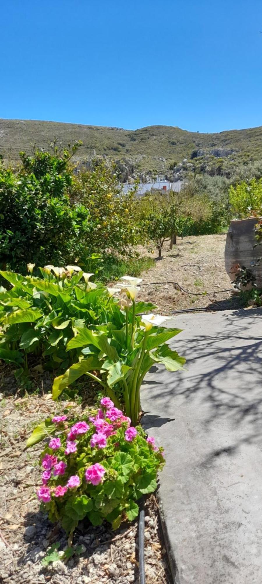 Margarita'S Stone House Apartment Platanos  Bilik gambar