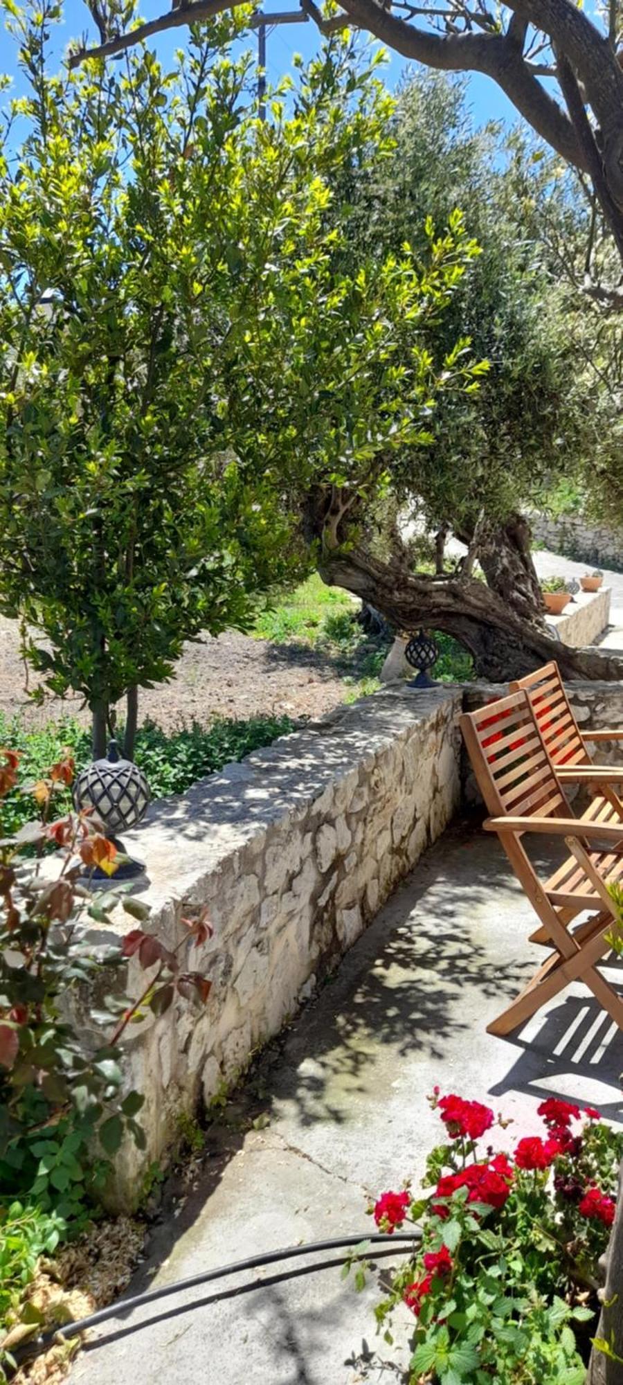 Margarita'S Stone House Apartment Platanos  Bilik gambar